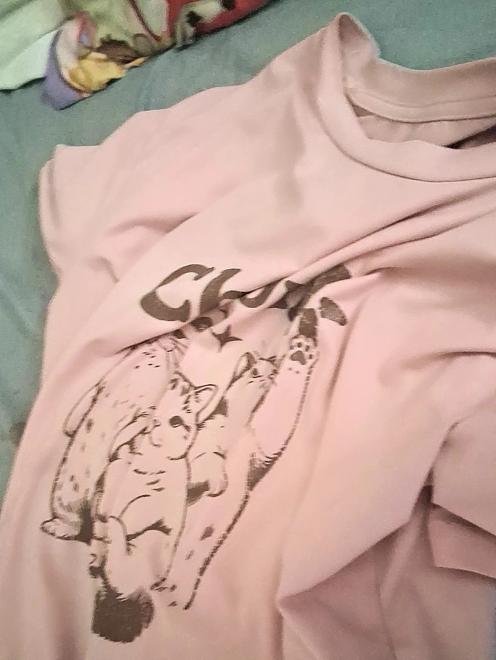 Graphic Short Sleeve Tee in Pink